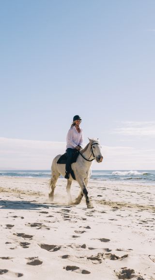 Zephyr Horses, Byron Bay